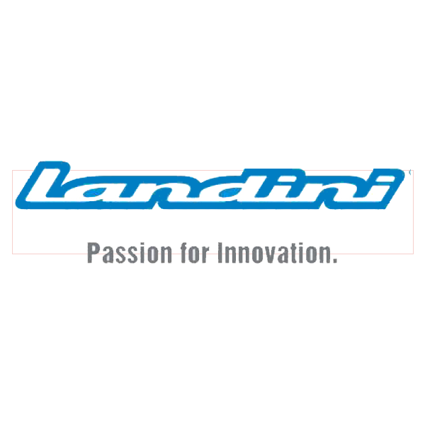 Landini